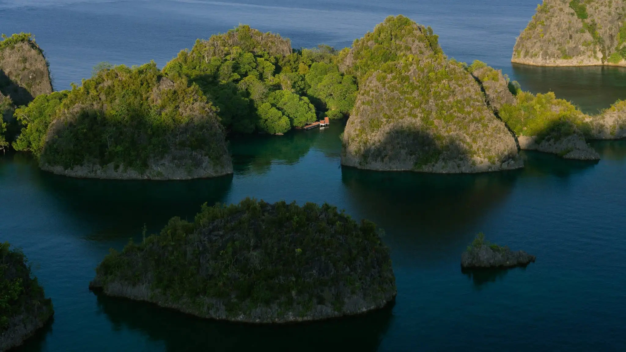 Những đảo đá vôi phủ cây xanh giữa vùng nước xanh ngọc ở Raja Ampat, nhìn từ trên cao