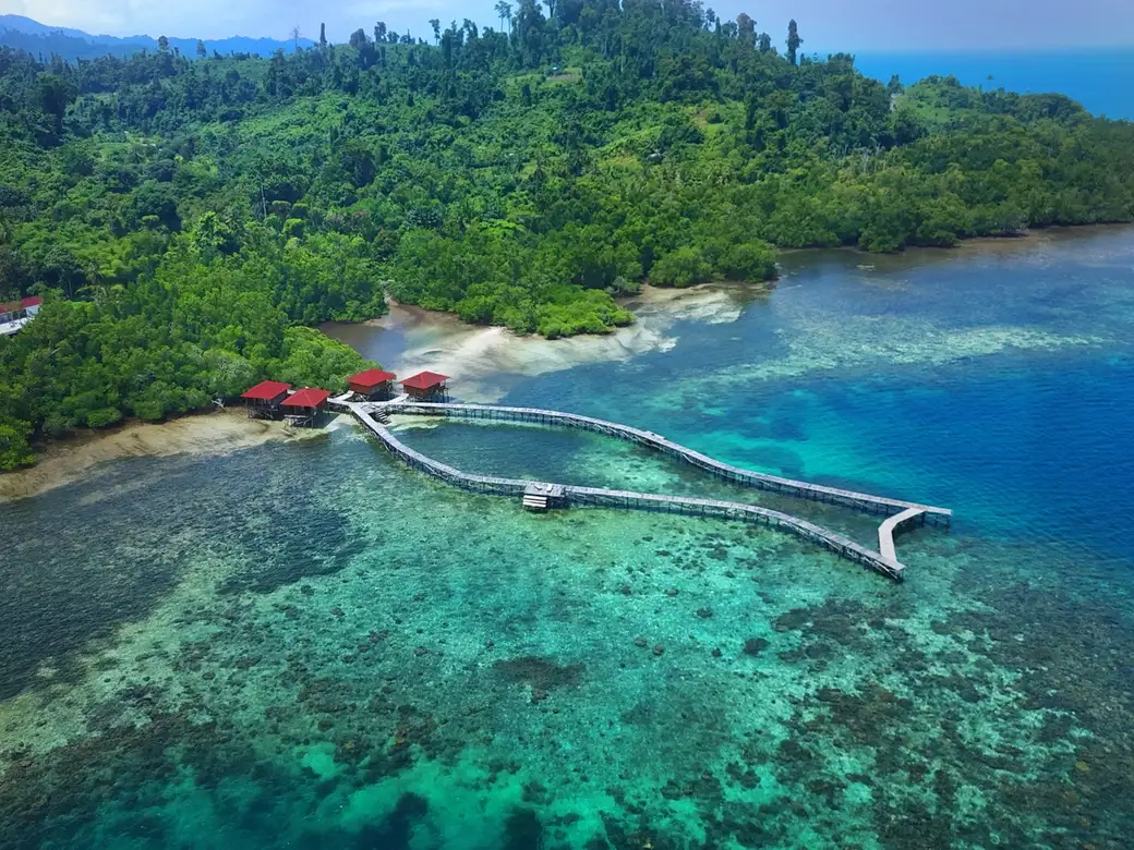 Cầu gỗ dài vươn ra rạn san hô cạn, dẫn từ bờ rừng tới những căn nhà sàn mái đỏ của resort, nhìn từ trên cao ở eo biển Dampier, Raja Ampat